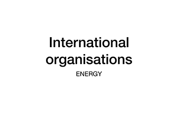 Pdf: International organisations 11 February 2020